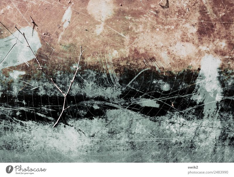 Cryptic Twig Wood Plastic Old Trashy Decline Transience Irritation Unclear Scratch mark Tracks Ravages of time Ship's side Colour photo Subdued colour