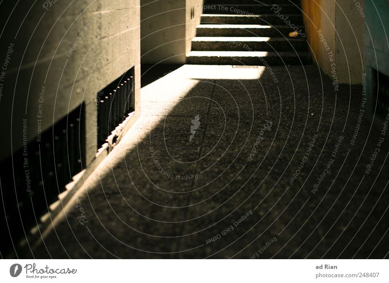 Light into the darkness Wall (barrier) Wall (building) Stairs Facade Alley Lanes & trails Symmetry Colour photo Copy Space bottom Day Sunlight