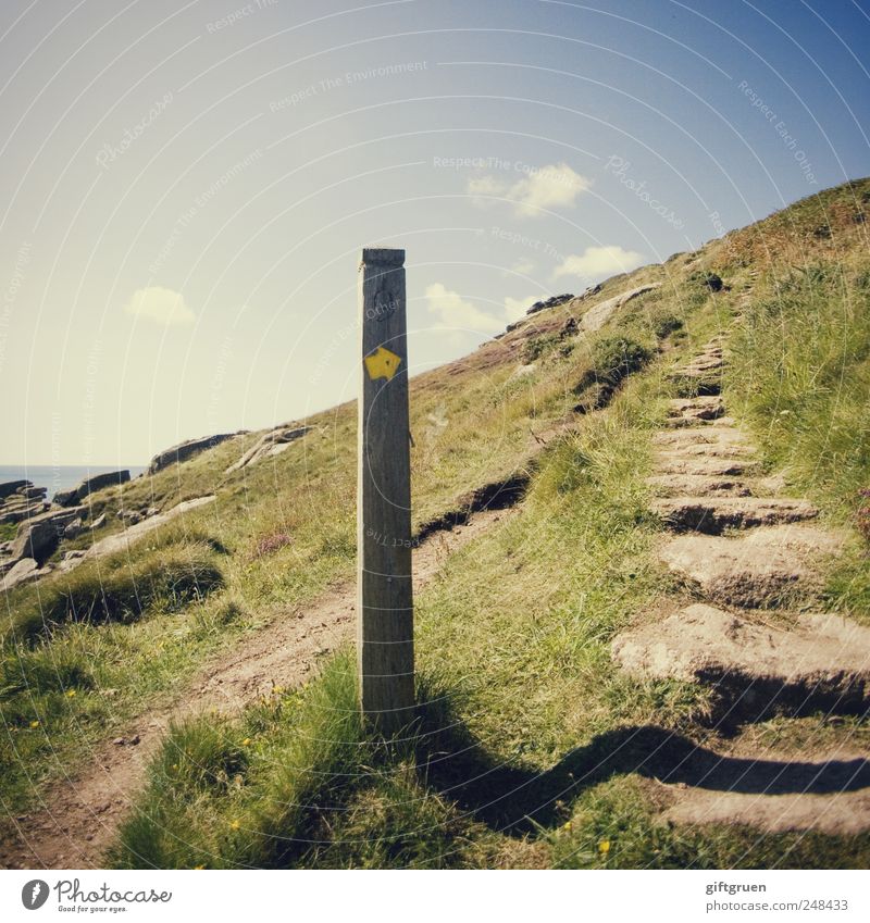 UPWARDS Environment Nature Landscape Plant Elements Earth Sky Clouds Summer Beautiful weather Grass Meadow Hill Rock Coast Hiking Pole Road marking