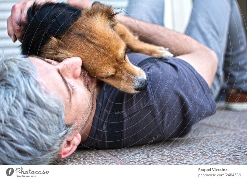 Love of a person to a dog. Lifestyle Human being Masculine Body 1 18 - 30 years Youth (Young adults) Adults Gray-haired White-haired Animal Pet Dog Touch Lie