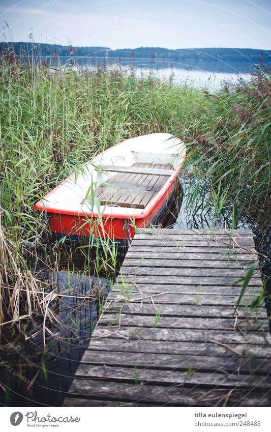 love boat Vacation & Travel Nature Water Summer Plant Lake Rowboat Blue Green Red Calm Watercraft Footbridge Wooden board Common Reed Horizon