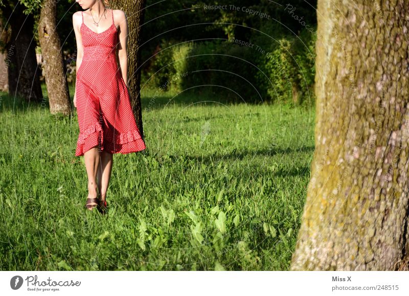 on the way Human being Feminine Young woman Youth (Young adults) 1 Nature Summer Beautiful weather Tree Grass Park Meadow Dress Going Red To go for a walk