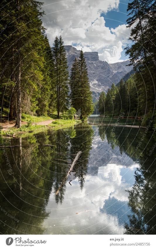 inflow Vacation & Travel Mountain Nature Landscape Sky Clouds Summer Tree Fir tree Coniferous trees Forest Alps Dolomites Lakeside Pragser Wildsee Lake Italy