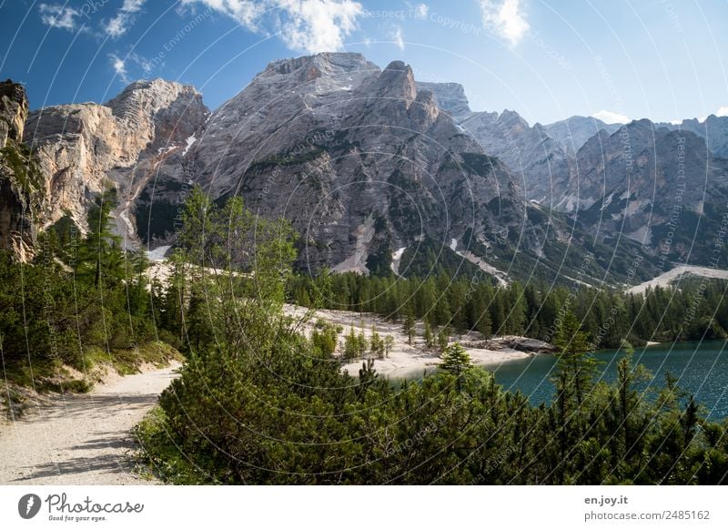 pure nature Vacation & Travel Summer vacation Mountain Hiking Nature Landscape Sky Sunlight Beautiful weather Forest Alps Dolomites Peak Lakeside