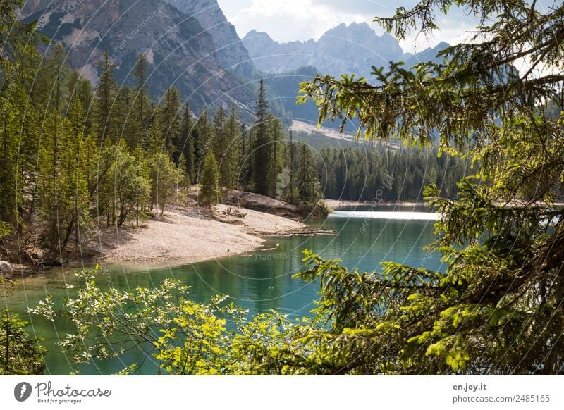 Circle Vacation & Travel Trip Adventure Summer Summer vacation Mountain Nature Landscape Tree Fir tree Coniferous trees Forest Rock Alps Dolomites Lakeside