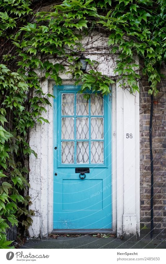 number 58 London House (Residential Structure) Detached house Building Architecture Wall (barrier) Wall (building) Door Esthetic Authentic Retro Beautiful Blue
