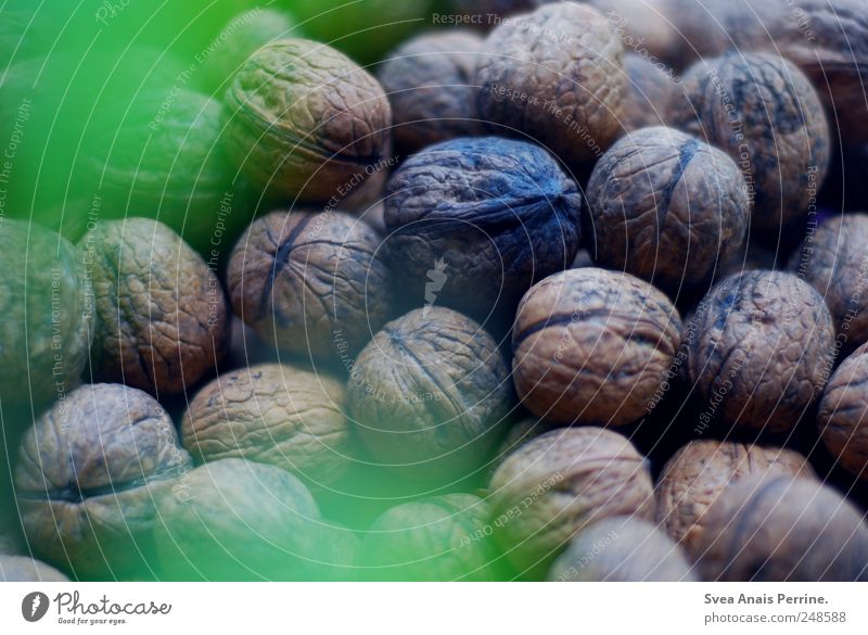 walnuts. Walnut Nutrition Organic produce Natural Walnut leaf Colour photo Subdued colour Interior shot Deserted Deep depth of field