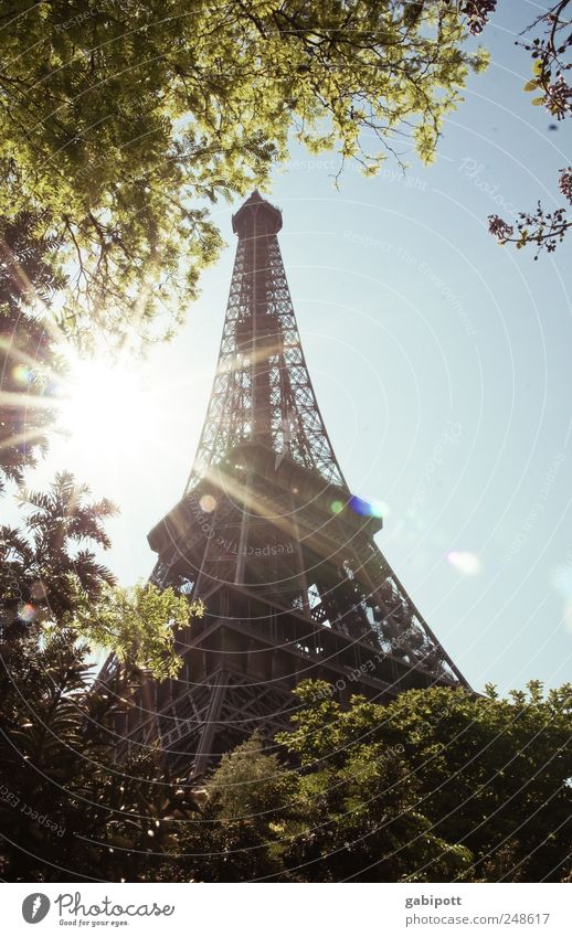 clearance sale Nature Sky Cloudless sky Summer Beautiful weather Tree Park Paris France Manmade structures Architecture Tourist Attraction Landmark Eiffel Tower