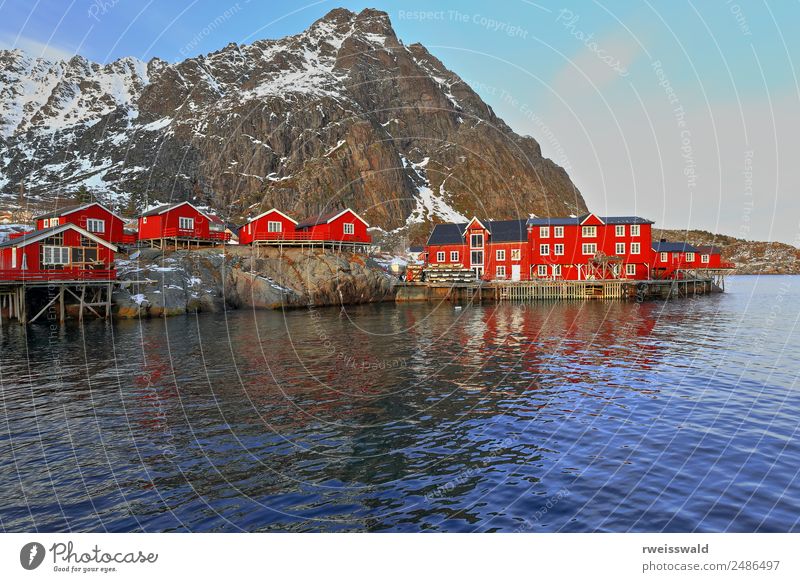 Red cottages-tourist rorbuer in A i Lofoten. Sorvagen-Norway-323 Fish Seafood Calm Fishing (Angle) Vacation & Travel Tourism Ocean Island Winter Snow