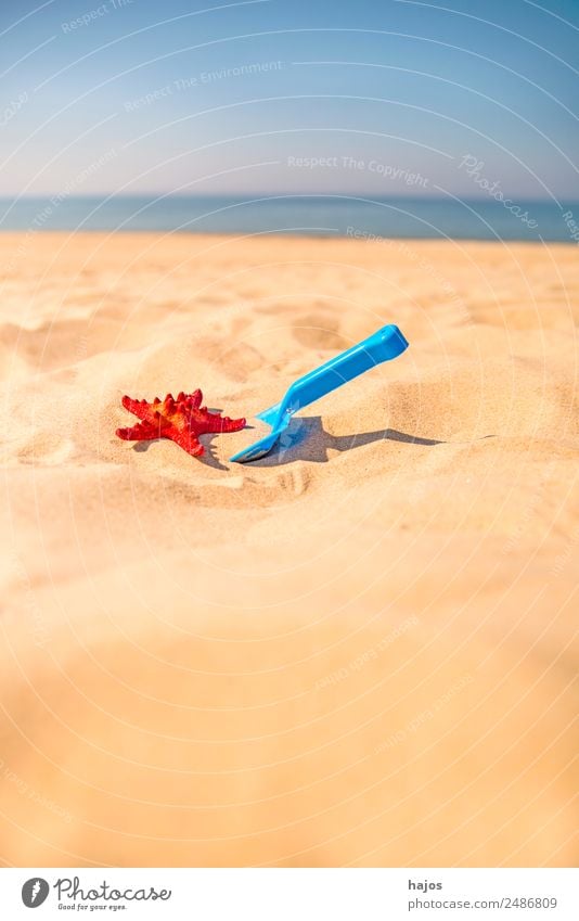 Shovel and starfish on the beach Joy Relaxation Vacation & Travel Summer Beach Child Sand Animal Blue Yellow Red Tourism Starfish children's toy play in sand