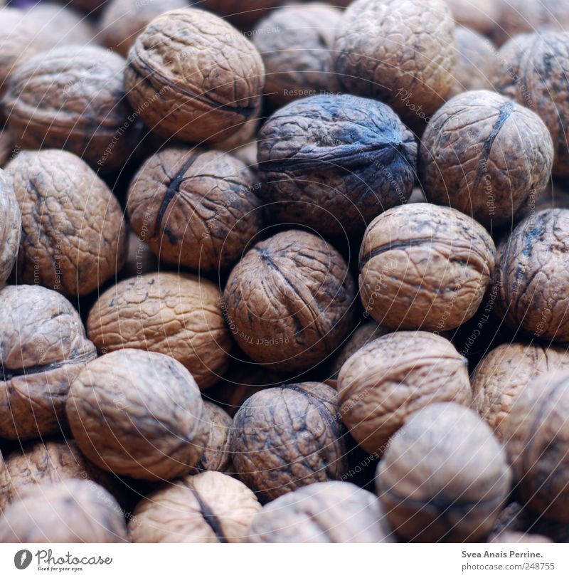 walnut. Food Nut Walnut Vitamin Nutrition Natural Round Colour photo Subdued colour Deserted