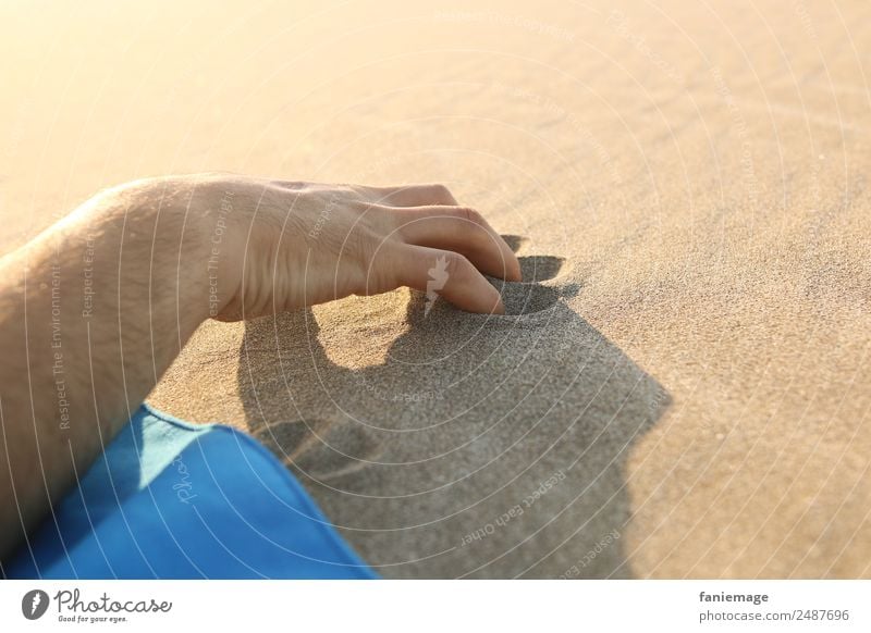 Hand in the sand Lifestyle Vacation & Travel Tourism Summer Summer vacation Sun Sunbathing Beach Human being Masculine Fingers Environment Nature To enjoy