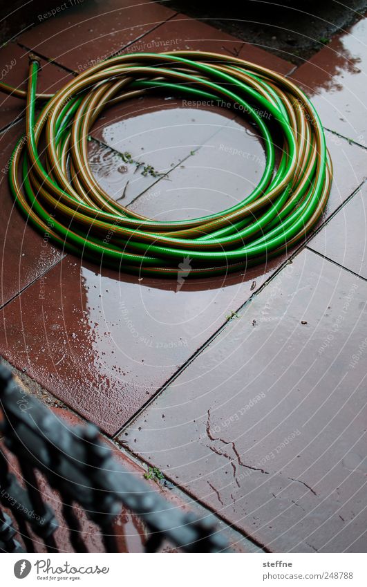 nass Water Bad weather Rain Green Red kreis Circle Tube Wet Colour photo Exterior shot Abstract Pattern Structures and shapes Day