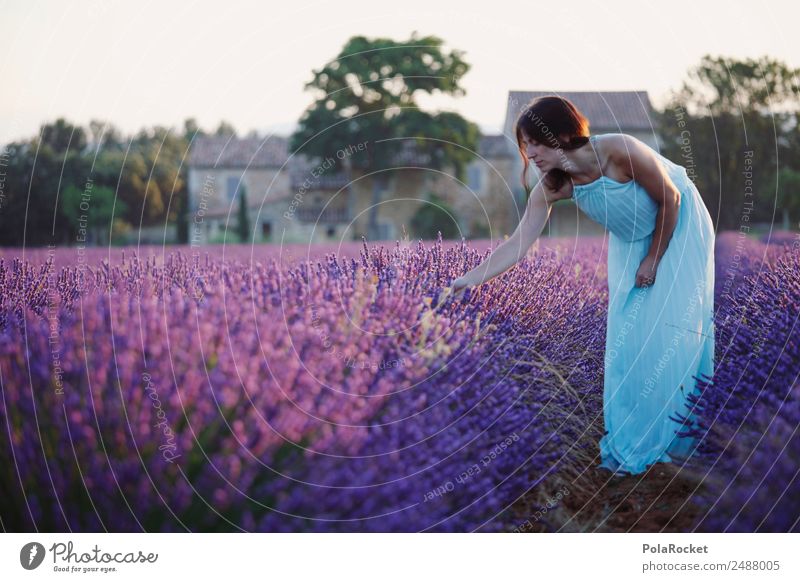#A# purple morning dew 1 Human being Esthetic Woman Girl Dress Lavender Lavender field Lavande harvest Violet Feminine Delicate Decent Adventure