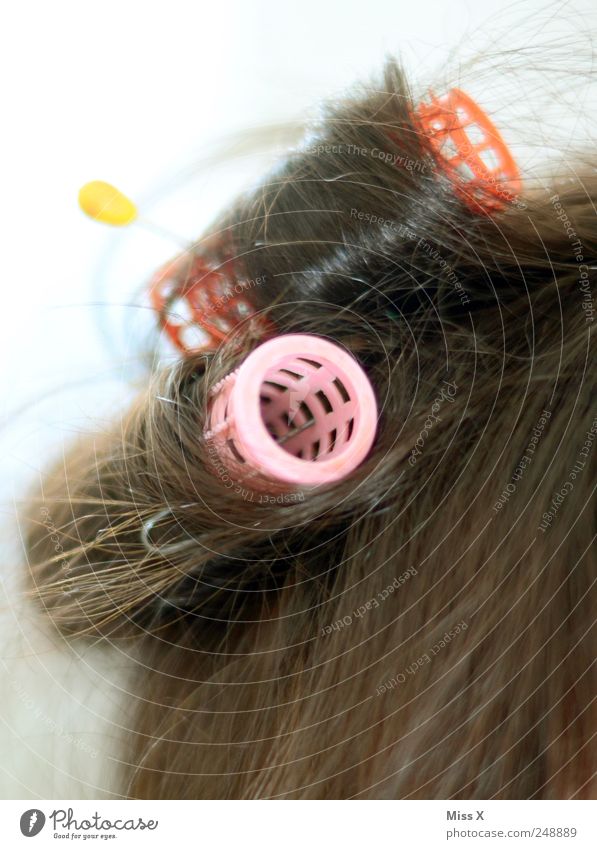 off the roll Beautiful Hair and hairstyles Accessory Brunette Curl Hair curlers Pink Prickle Colour photo Multicoloured Close-up Neutral Background