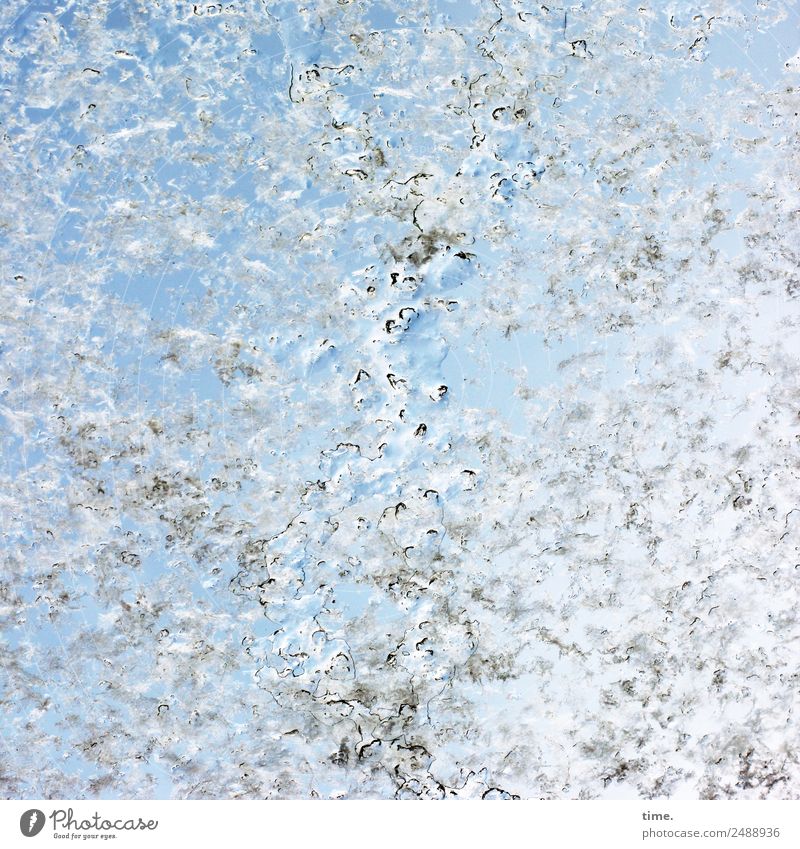 Emotion every year the first snow Work of art Drops of water Sky Winter Beautiful weather Snow Pane Authentic Cold Wet Blue Enthusiasm Life Emotions Complex