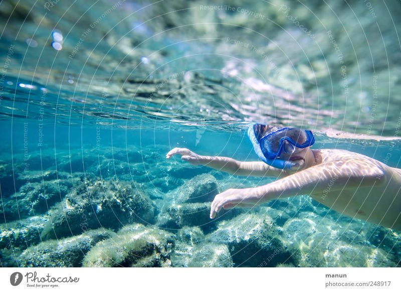 dummy fox Leisure and hobbies Vacation & Travel Summer Summer vacation Ocean Aquatics Swimming & Bathing Dive Snorkeling Human being Masculine Child Boy (child)