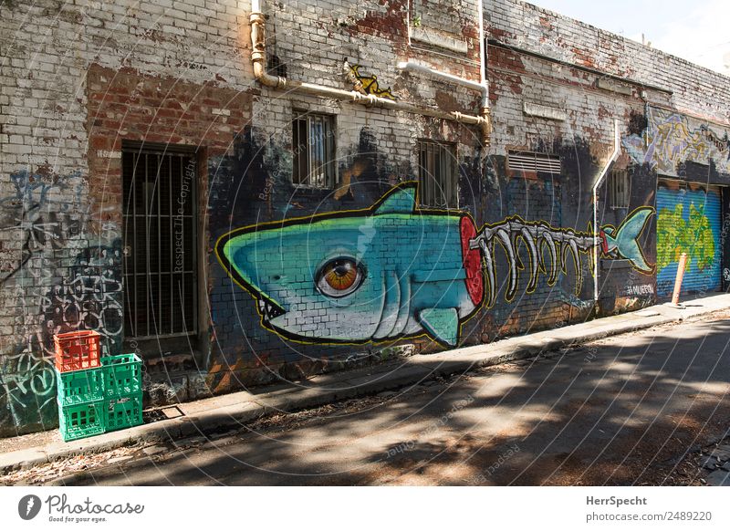 Fish Alley House (Residential Structure) Manmade structures Building Wall (barrier) Wall (building) Door Shark 1 Animal Graffiti Esthetic Exceptional Large