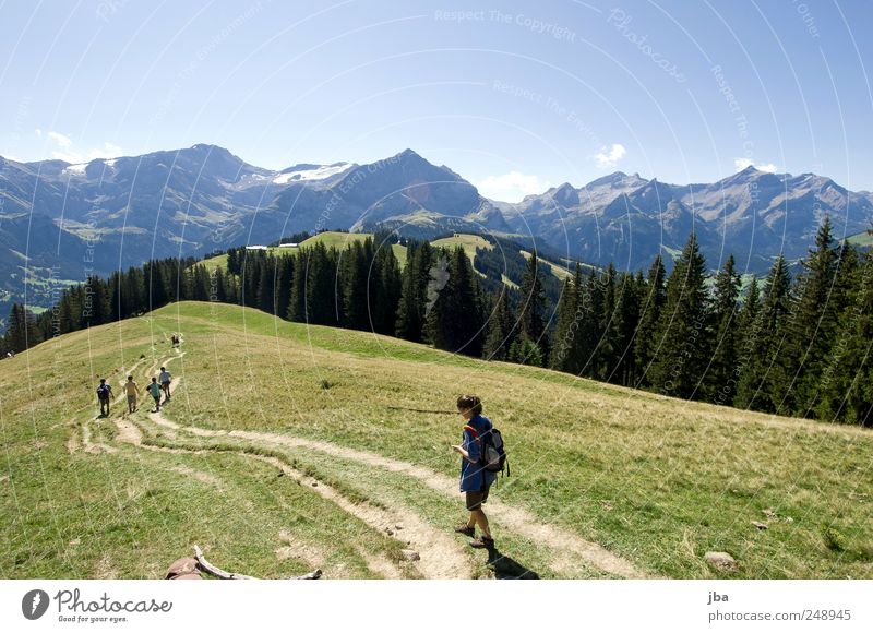 hiking in the mountains Harmonious Relaxation Leisure and hobbies Tourism Freedom Summer Mountain Hiking Human being Friendship Group Nature Landscape Sky