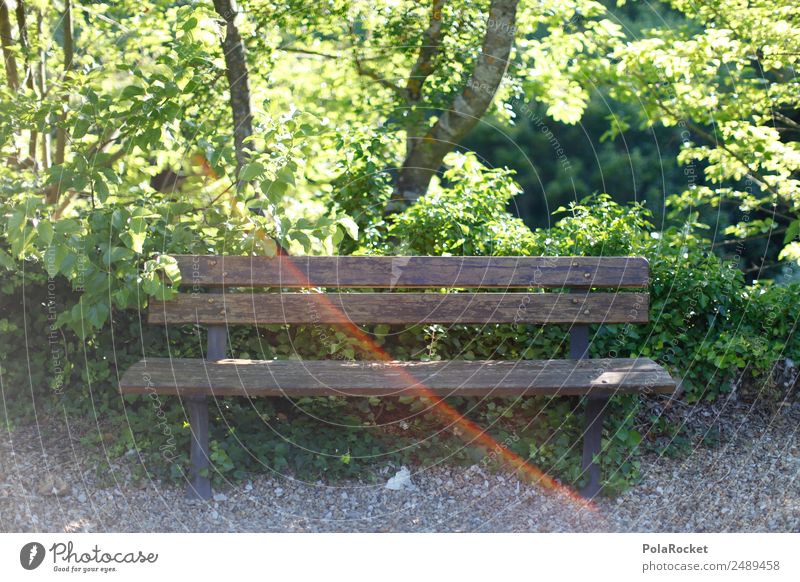 #A# Bench Environment Nature Landscape Plant Climate Beautiful weather Garden Park Esthetic Empty Deserted Seating Green Idyll Colour photo Multicoloured