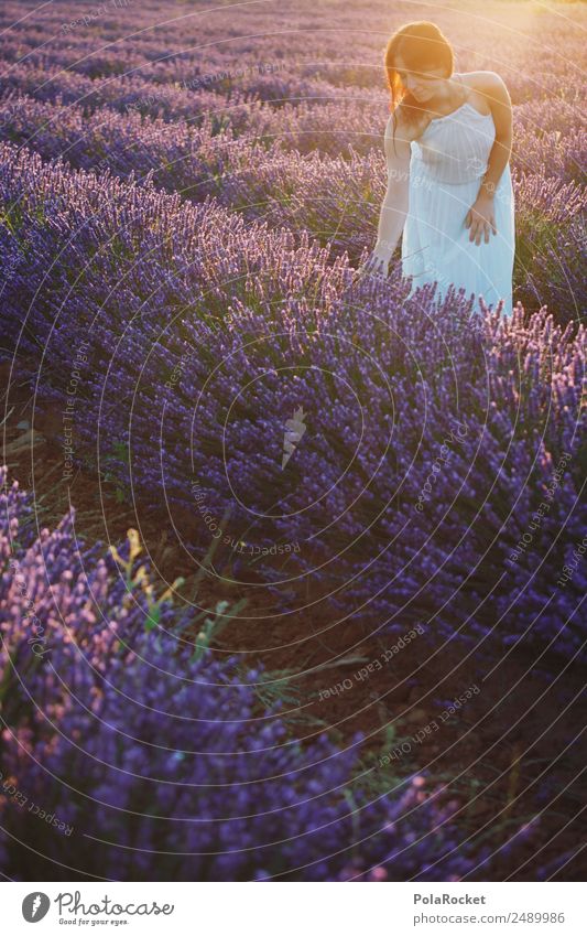 #A# Morning Sun Lavender 1 Human being Esthetic Lavender field Lavande harvest Sunbeam Sunrise Dress Field Blossoming Green pastures Romance Woman Idyll Kitsch