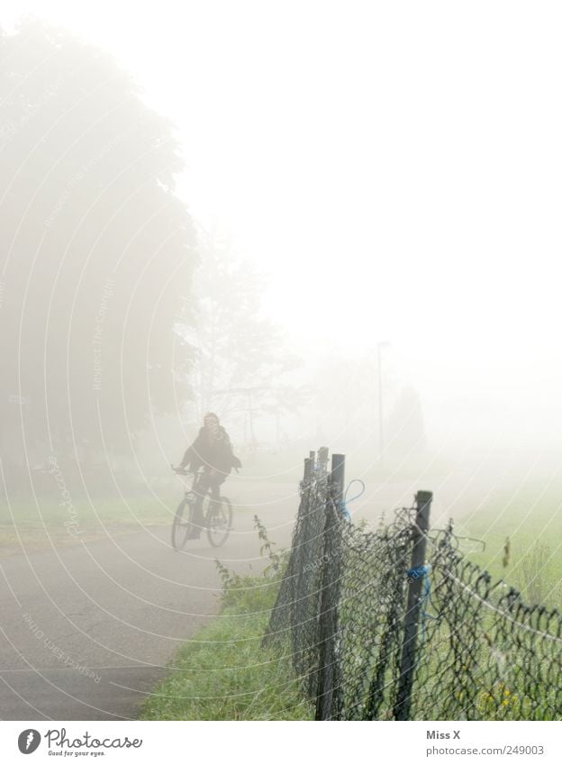 cyclists Human being 1 Nature Autumn Bad weather Fog Meadow Street Lanes & trails Driving Gloomy Gray Fence Bicycle Cycle path Road safety Shroud of fog