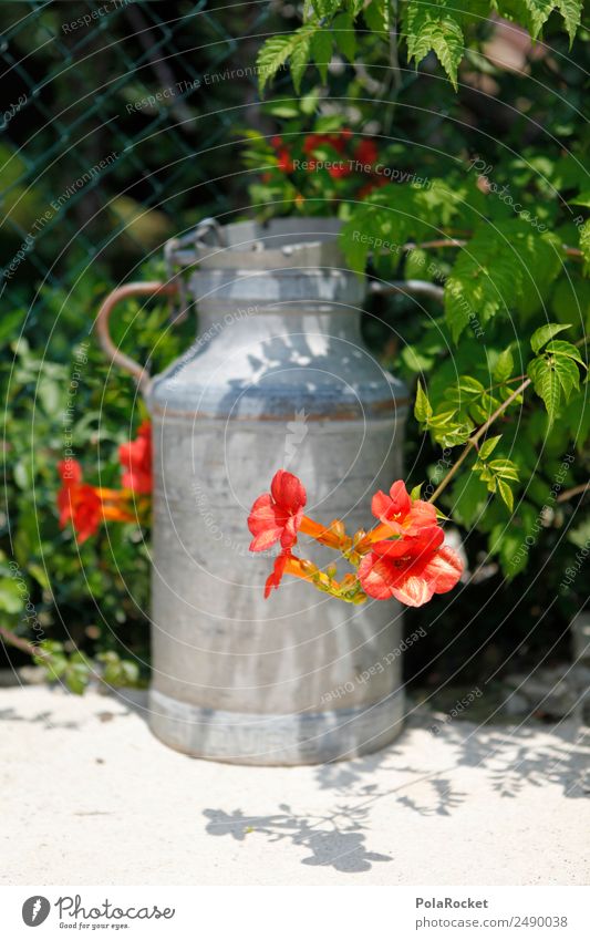 #A# Garden ideas Esthetic Milk churn Garden plants Garden fence Outdoor furniture Flower Colour photo Multicoloured Exterior shot Detail Experimental Abstract