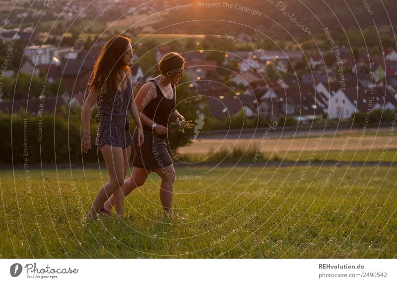 2 women walking through the meadow Lifestyle Leisure and hobbies Summer Sun Human being Young woman Youth (Young adults) Adults 18 - 30 years Environment Nature