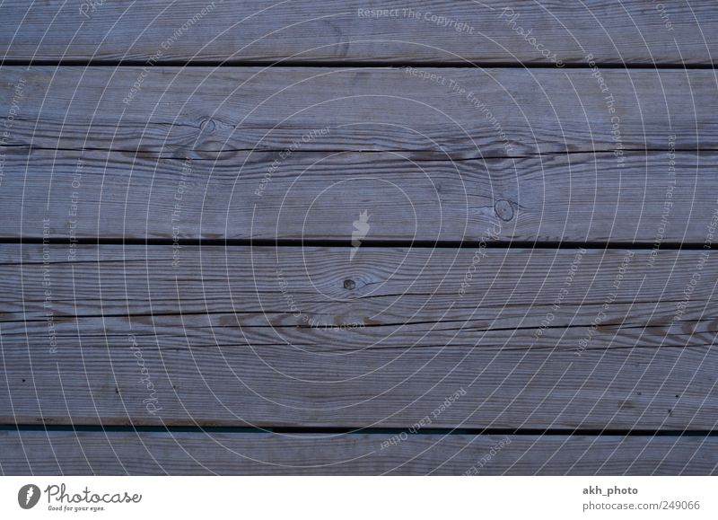 wooden boards Wood Simple Firm New Brown Wooden board Wood grain Colour photo Subdued colour Exterior shot Close-up Neutral Background Day Central perspective