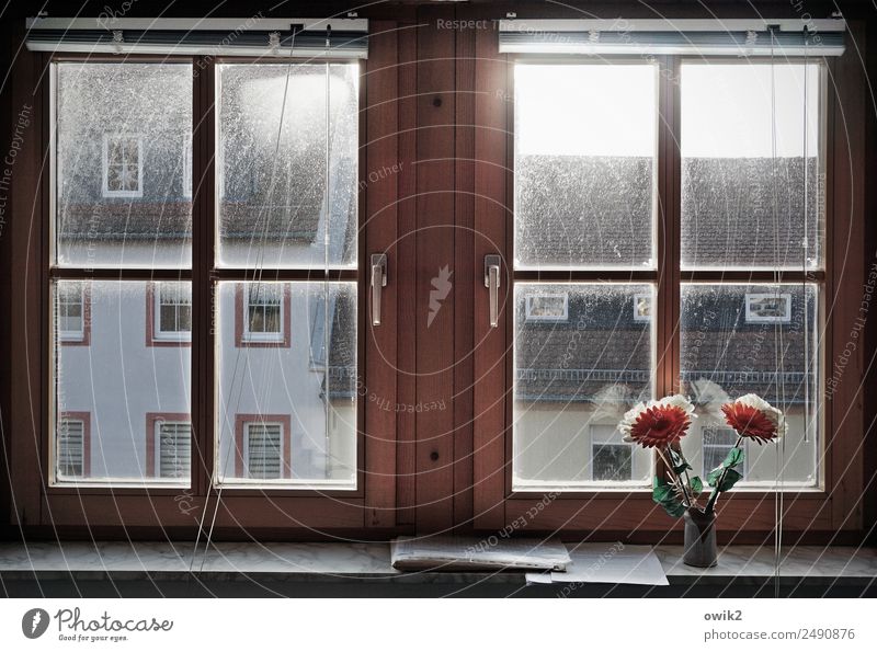 Limited view Small Town House (Residential Structure) Building Wall (barrier) Wall (building) Facade Window Roof Window frame Artificial flowers Flower vase