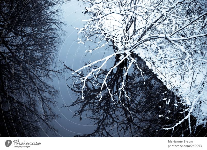 Winter in ... Nature Water Sky Ice Frost Snow Tree Forest River bank Brook Looking Cold Black White Moody Beautiful Beautiful weather Reflection Bushes