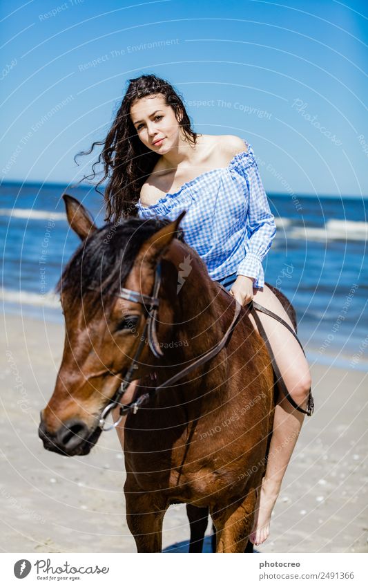 Young attractive girl sitting on a bay horse by the sea Vacation & Travel Summer Beach Ocean Human being Young woman Youth (Young adults) Woman Adults 1 Nature