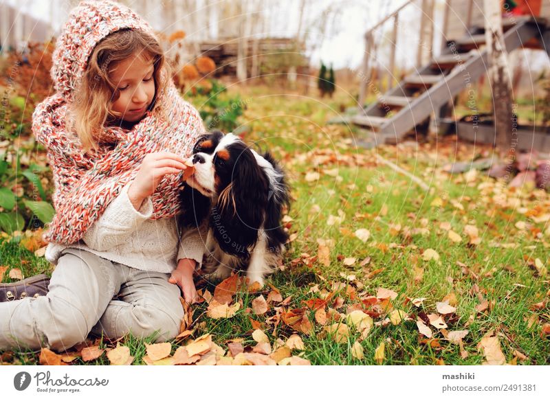 happy kid girl playing with her dog in autumn Lifestyle Joy Happy Playing Garden Child Family & Relations Friendship Infancy Nature Autumn Warmth Leaf Forest