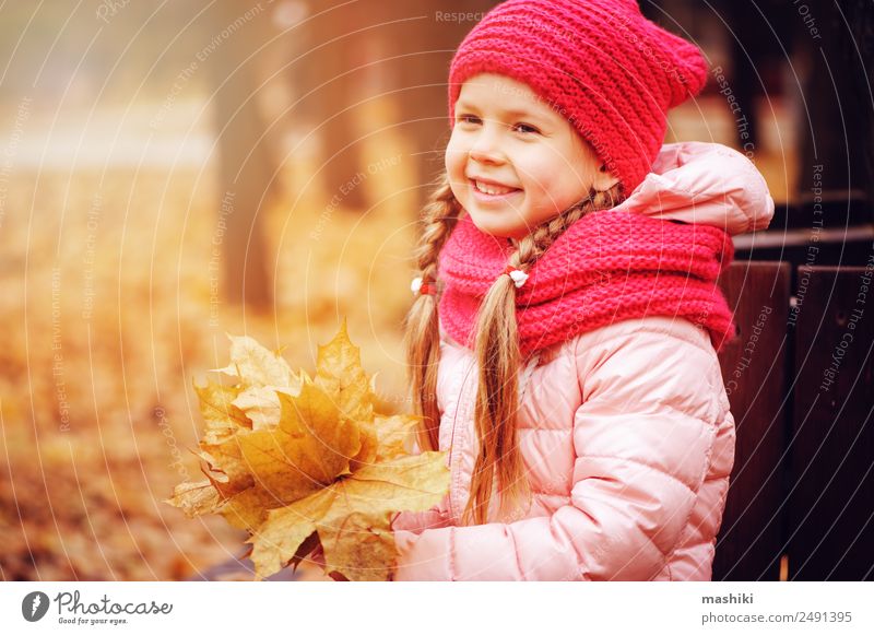 autumn portrait of smiling child girl with bouquet of leaves Style Joy Happy Leisure and hobbies Knit Child Toddler Infancy Nature Autumn Warmth Tree Leaf Park