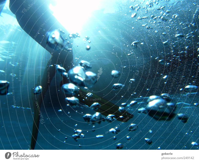 underwater blue Dive Water Blue Black Air bubble Colour photo Underwater photo Silhouette Sunlight Sunbeam