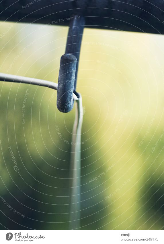 The hook in the matter Nature Summer Foliage plant Garden Meadow Green Clothesline Checkmark Colour photo Exterior shot Close-up Detail Macro (Extreme close-up)