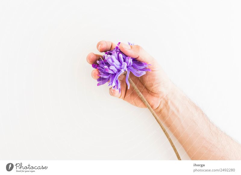 Human hand catching a Dandelion Herbs and spices Beautiful Summer Garden Feasts & Celebrations Valentine's Day Mother's Day Human being Hand Fingers Nature