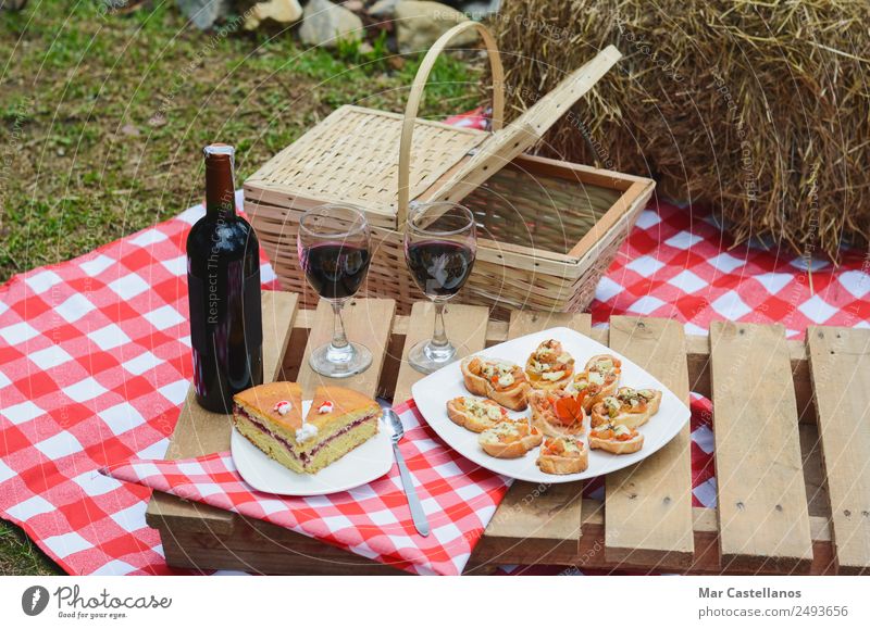 Outdoor picnic with wine on checkered tablecloth and basket. Bread Bottle Spoon Relaxation Summer Table Kitchen Grass Meadow Transport Clothing Write Carrying
