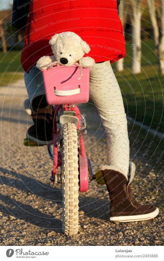 girl riding a bicycle with teddy bear in the basket Joy Life Cycling Girl 3 - 8 years Child Infancy Spring Autumn Winter Park Toys Doll Teddy bear To enjoy