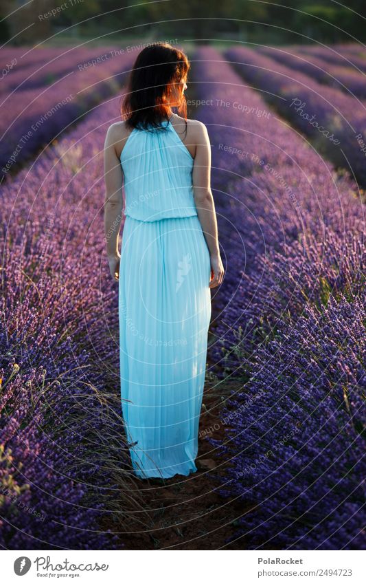 #A# Lavender walk 1 Human being Art Esthetic Lavender field Lavande harvest Violet France Provence Dress Woman Model Manikin Idyll Fantastic Wanderlust Trip