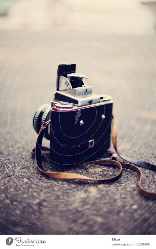 camera Camera Old Analog Ground Vintage Objective Subdued colour Exterior shot Deserted Copy Space top Shallow depth of field