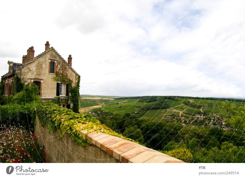 The best view in the whole village Environment Nature Landscape Plant Sky Clouds Horizon Summer Weather Flower Grass Village Outskirts