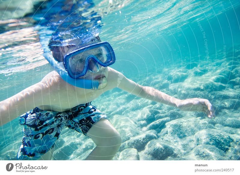 amphibian Leisure and hobbies Vacation & Travel Aquatics Swimming & Bathing Dive Snorkeling Human being Child Boy (child) Infancy Youth (Young adults) Life 1