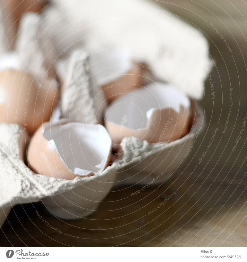 If I'd expected you today, I'd have made cowpokes. Food Nutrition Organic produce Broken Egg Hen's egg Cooking Eggshell Eggs cardboard Fragile Colour photo