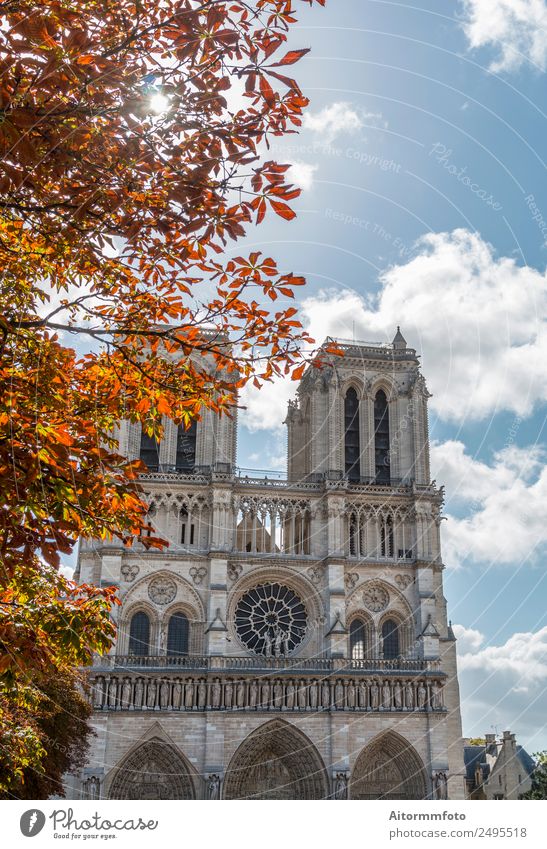 Notre Dame Cathedral on autumn Style Beautiful Vacation & Travel Tourism Sun Culture Landscape Sky Autumn Church Architecture Facade Monument Stone Old Historic