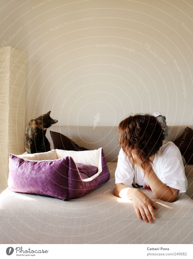 looking away Feminine Young woman Youth (Young adults) Woman Adults 1 Human being Animal Pet Cat Rotate Lie Make Together Beautiful Uniqueness Cute Thin Sofa