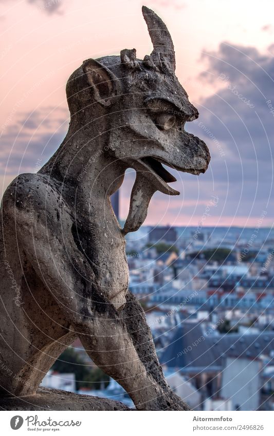 Gargoyle on Notre Dame In Paris at sunset Style Tourism Sightseeing Decoration Art Culture Sky Skyline Architecture Balcony Stone Old Historic Horror