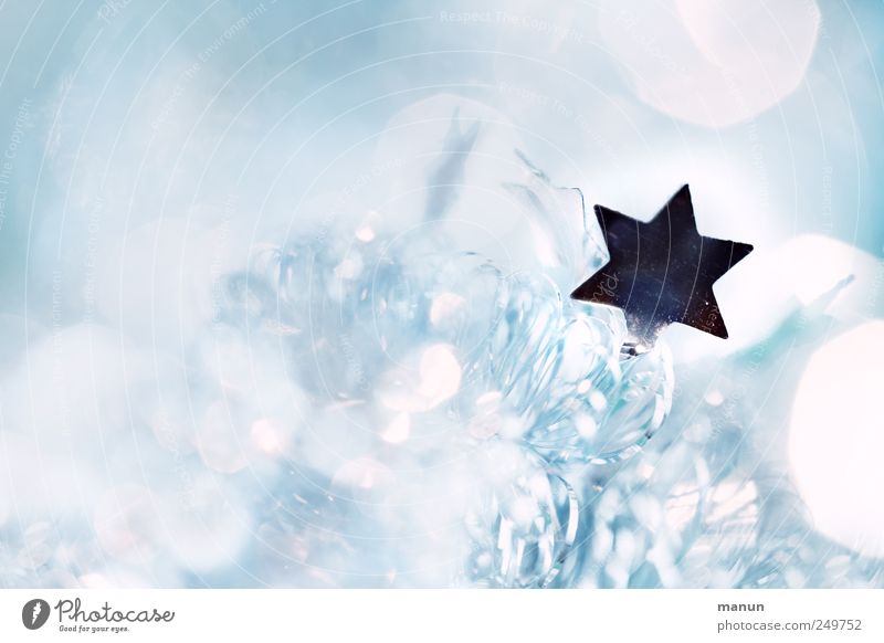 starry mica Style Feasts & Celebrations Festive Christmas star Star (Symbol) Sign Bright Silver Colour photo Interior shot Deserted Copy Space left Contrast