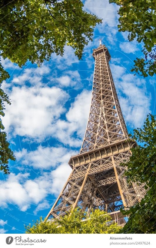 Eiffel Tower in green trees on blue sky Vacation & Travel Tourism Sightseeing Summer Garden Culture Nature Sky Park Building Architecture Monument Metal Bright