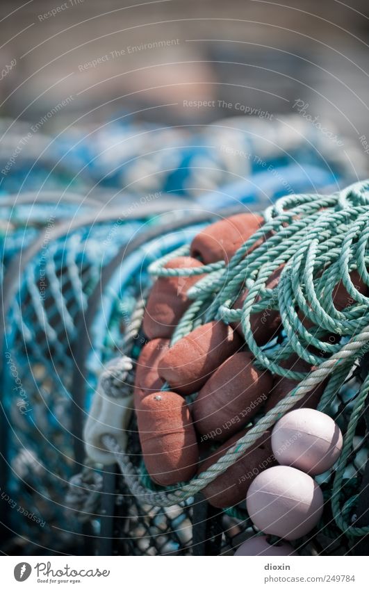 weirs Fisherman Fishery Fishing port Fishing village Authentic Fish trap Rope Fishing float Net Colour photo Exterior shot Detail Deserted Copy Space top